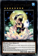 Yugioh Number 87: Queen of the Night MAGO-EN059 Rare 1st Edition NM
