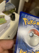 Pokemon Scorbunny 031/202 Sword Shield Base Holo LP