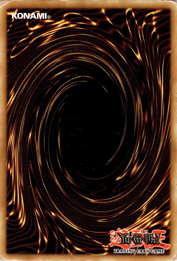 Yugioh Pitch-Black Warwolf RDS-EN026 Common 1st Edition DAMAGED