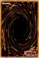 Yugioh Pitch-Black Warwolf RDS-EN026 Common 1st Edition DAMAGED