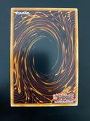 Yugioh Friller Rabca SDRE-EN022 Common 1st Edition MP/LP