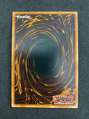 Yugioh Stardust Xiaolong DP10-EN003 1st Edition Common LP