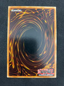 Yugioh Stamping Destruction SDBE-EN022 1st Edition MINT