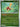 Pokemon Shuckle 011/132 Mega Evolution Reverse Holo NM