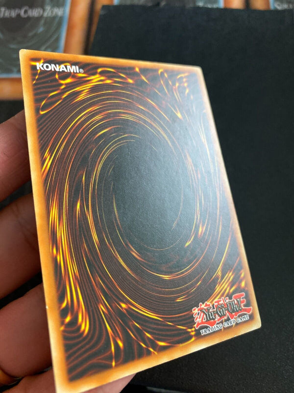 Yugioh Token TKN3-EN006 Common Unlimited Ed LP/VLP
