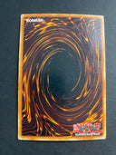 Yugioh Paladin of White Dragon SKE-024 Common Unlimited Edition HP