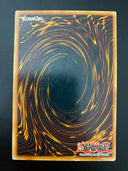 Yugioh Contact POTD-EN037 Common 1st Edition MP