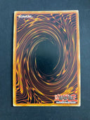 Yugioh Red-Eyes Spirit DRL2-EN020 Super Rare 1st Edition HP