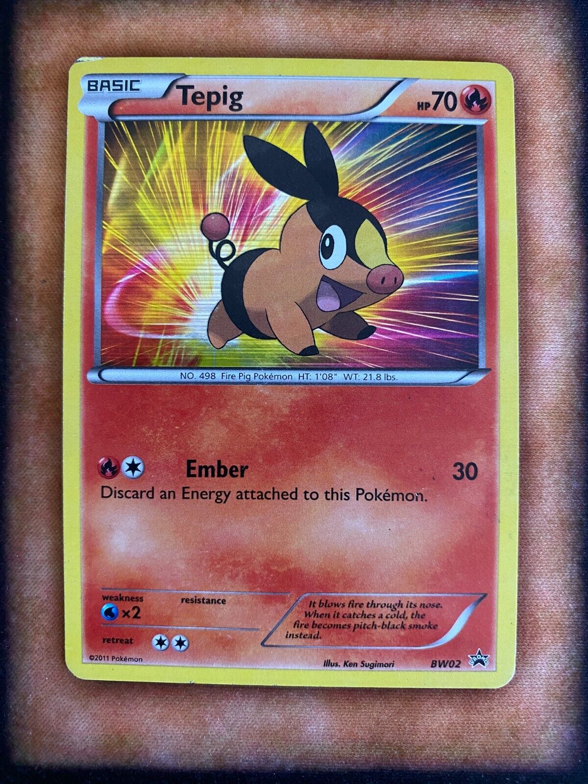 Pokemon Tepig bw02 Black Star Promos Holo HP/MP