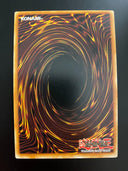 Yugioh Good & Evil in the Burning Abyss SECE-ENS14 Super Rare Limited Edition NM