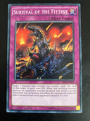 Yugioh Survival of the Fittest SR04-EN031 Common 1st Edition Heavily Played