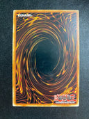 Yugioh Speedroid Menko HSRD-EN005 Common 1st Edition HP