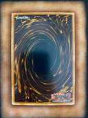 Yugioh Infernity Beast ANPR-EN012 Common 1st Edition LP