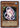 Yugioh Chrysalis Dolphin POTD-EN006 Common 1st Edition HP
