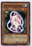 Yugioh Chrysalis Dolphin POTD-EN006 Common 1st Edition HP