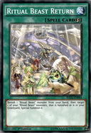 Yugioh Ritual Beast Return RATE-EN064 Common 1st Edition NM