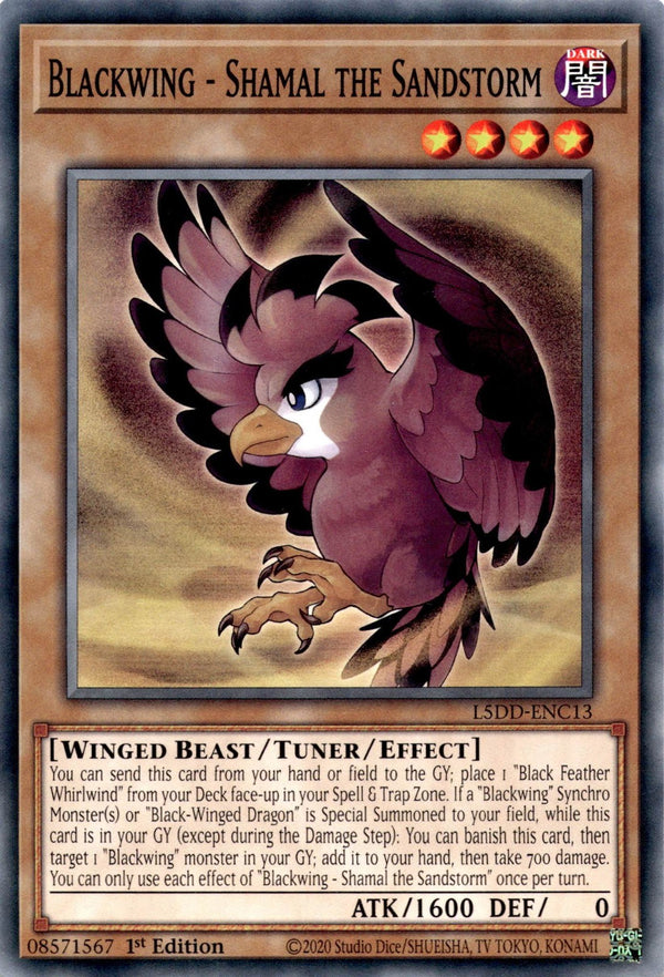 Yugioh Blackwing - Shamal the Sandstorm L5DD-ENC13 Common 1st Edition NM
