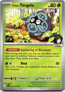 Pokemon Erika's Tangela 007/217 Ascended Heroes Non Holo NM