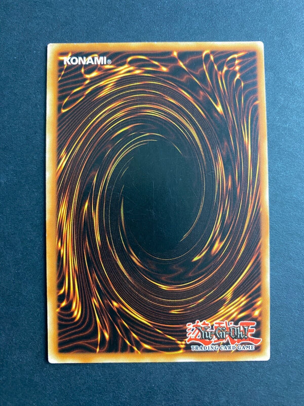 Yugioh Scrubbed Raid DP09-EN029 Super Rare 1st Edition VLP/NM