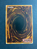Yugioh Scrubbed Raid DP09-EN029 Super Rare 1st Edition VLP/NM