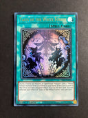 Yugioh Tales of the White Forest INFO-EN058 Ultra Rare 1st Edition LP