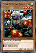 Yugioh Star Staring Starling DANE-EN024 Rare 1st Edition NM