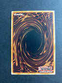 Yugioh Majespecter Tornado OP24-EN026 Common Unlimited Edition NM