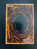 Yugioh Aegis of the Ocean Dragon Lord SDRE-EN033 Common 1st Edition MP