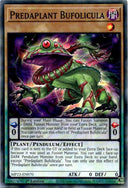 Yugioh Predaplant Bufolicula MP23-EN070 Common 1st Edition NM