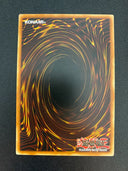 Yugioh Royal Keeper SDZW-EN006 Common 1st Edition NM