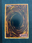 Yugioh Solfachord Scale ANGU-EN023 Rare 1st Edition VLP/NM