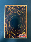 Yugioh Gladiator Beast's Battle Gladius GLAS-EN056 Common 1st Edition NM