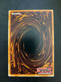 Yugioh Dinomist Eruption MP17-EN039 Common 1st Edition LP