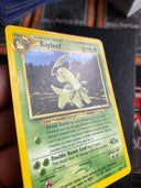 Pokemon Bayleef 29/111 neo genesis HP/MP