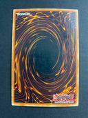 Yugioh White Dragon Ritual SKE-025 Common Unlimited Edition HP