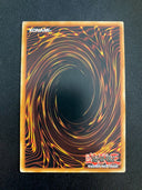 Yugioh Chaos Infinity LED7-EN030 Common 1st Edition NM