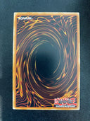 Yugioh Marincess Pascalus MP21-EN038 Rare 1st Edition NM