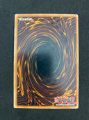 Yugioh Crystal Beacon DP07-EN013 1st Edition Common HP-MP