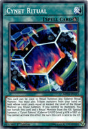 Yugioh Cynet Ritual MP19-EN113 Common 1st Edition NM