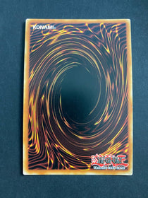 Yugioh Performapal Ballad DPDG-EN002 Super Rare 1st Edition LP