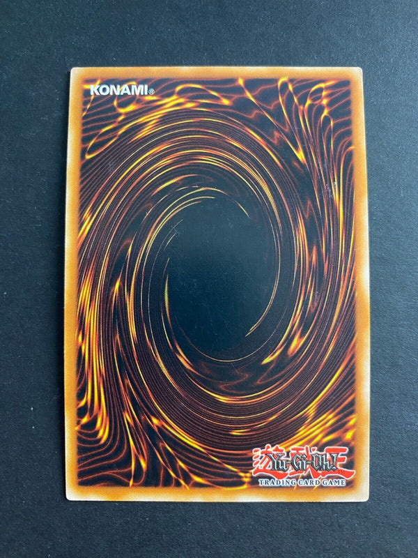 Yugioh Demise of the Land OP14-EN019 Common Unlimited Edition LP