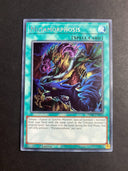 Yugioh Mutamorphosis PHNI-EN070 Secret Rare 1st Edition NM