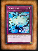 Yugioh Packet Link SDPL-EN031 Common 1st Edition NM/MINT