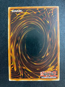 Yugioh Wattbetta DREV-EN024 Common 1st Edition MP/LP