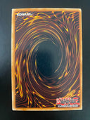 Yugioh Reverse Of Neos DP06-EN015 Common 1st Edition MP