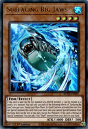 Yugioh Surfacing Big Jaws ROTA-EN001 Ultra Rare 1st Edition NM