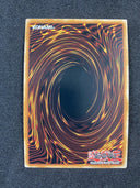 Yugioh Flower Cardian Lightshower DLCS-EN135 Gold Ultra Rare 1st Edition NM-Mint