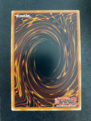 Yugioh The Lady in Wight OP13-EN014 Common Unlimited Edition NM