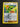 Pokemon Gardenia's Vigor 143/189 Astral Radiance Reverse Holo NM