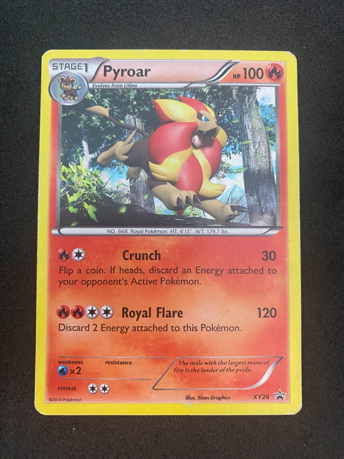 Pokemon Pyroar XY26 Black Star Promos Holo HP